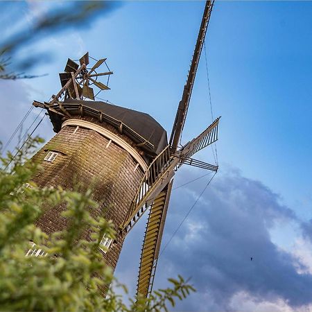 Ferienhaus Zirchow 1 エクステリア 写真